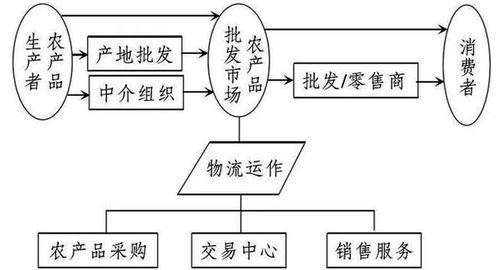 農產品物流的發展趨勢與主要模式 上海軟件代理與開發的創新視角