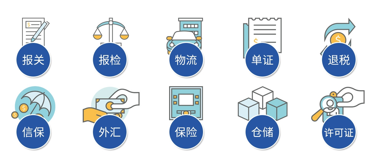 代理軟件進出口與貨代的差異 服務對象與工作重點的深度解析