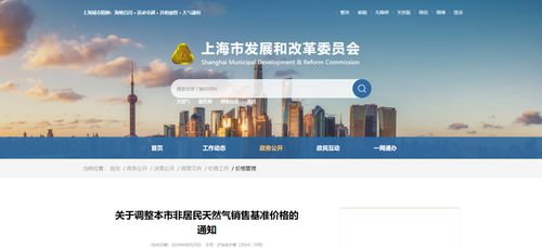 上海市發改委調整非居民天然氣售價 對軟件代理與開發行業的影響與應對策略